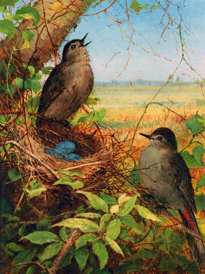 Thrushes by Their Nest by Fidelia Bridges